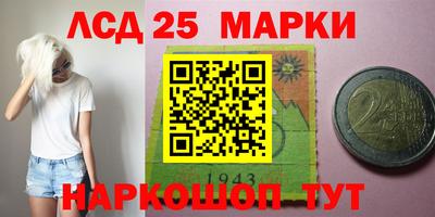гидра Краснокаменск