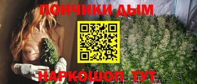гидра Краснокаменск