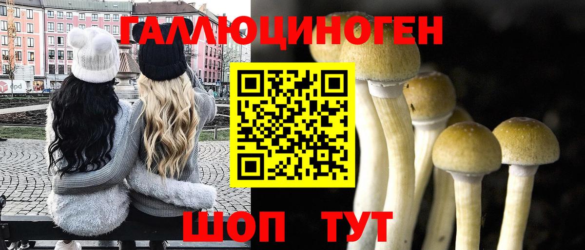Псилоцибиновые грибы мухоморы Зерноград